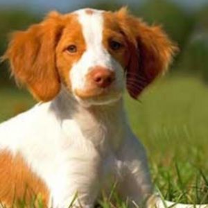 Meet your Posher, Avery